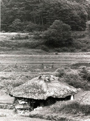grass hut